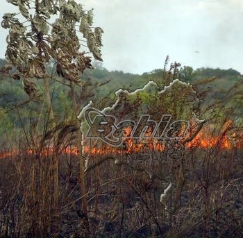 Parque Nacional do Alto do Cariri em Guaratinga agoniza em chamas