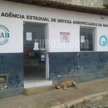 ADAB Guaratinga está paralisada; servidores reivindicam direitos não cumpridos pelo Governo do Estado