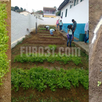 Horta escolar incentiva educação ambiental em Monte Alegre