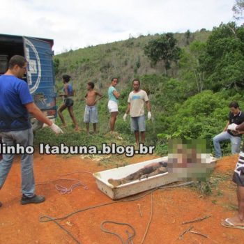 Encontrado morto o fugitivo da cadeia de Guaratinga em fazenda de Santa Luzia