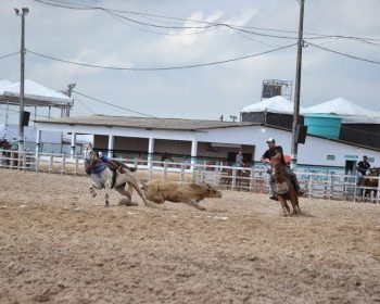 Vaquejada não está proibida na Bahia, afirma Eduardo Salles