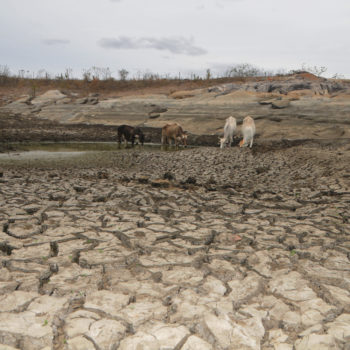 Barrocas sofre com rigor a pior seca dos últimos anos