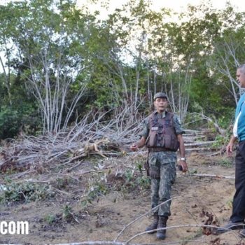 Sec de Meio Ambiente de Guaratinga e Polícia Ambiental flagram desmatamento e apreende retroescavadeira