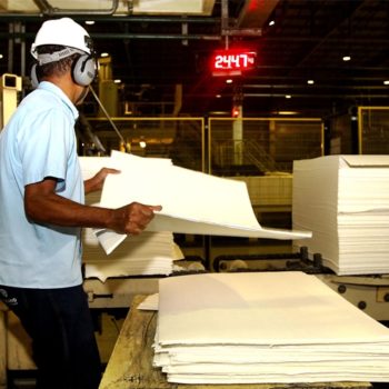 Produção de papel e celulose na Bahia cresce mais de 40%