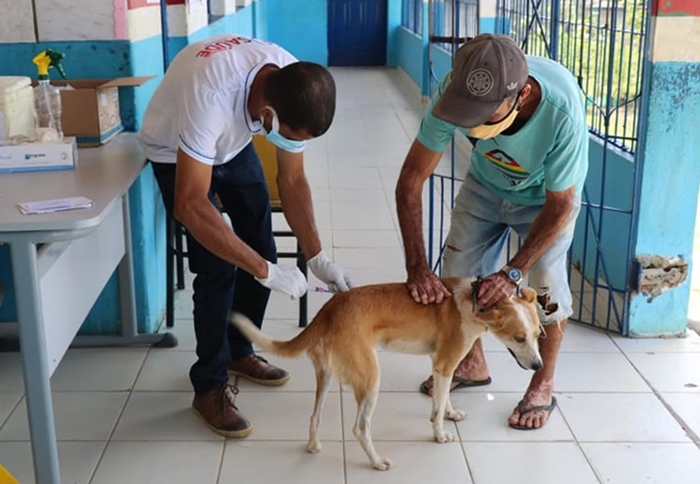 Campanha de vacinação antirrábica para cães e gatos começa neste sábado (28) em Itabela