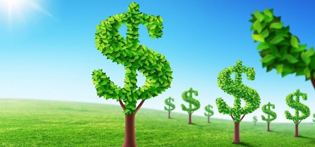 Economia verde: A nova rota para o mundo dos negócios