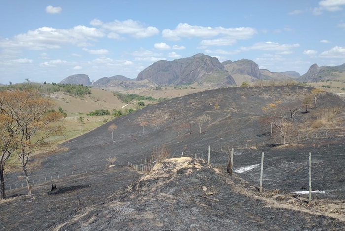 Incêndio destrói cerca de 50 hectares de vegetação em fazendas de Buranhém