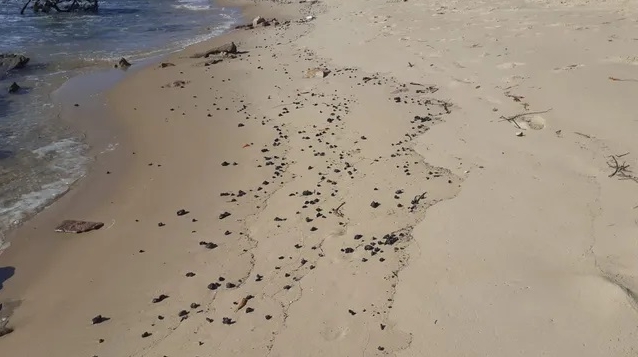 Manchas de óleo voltam a aparecer em praias do sul da Bahia