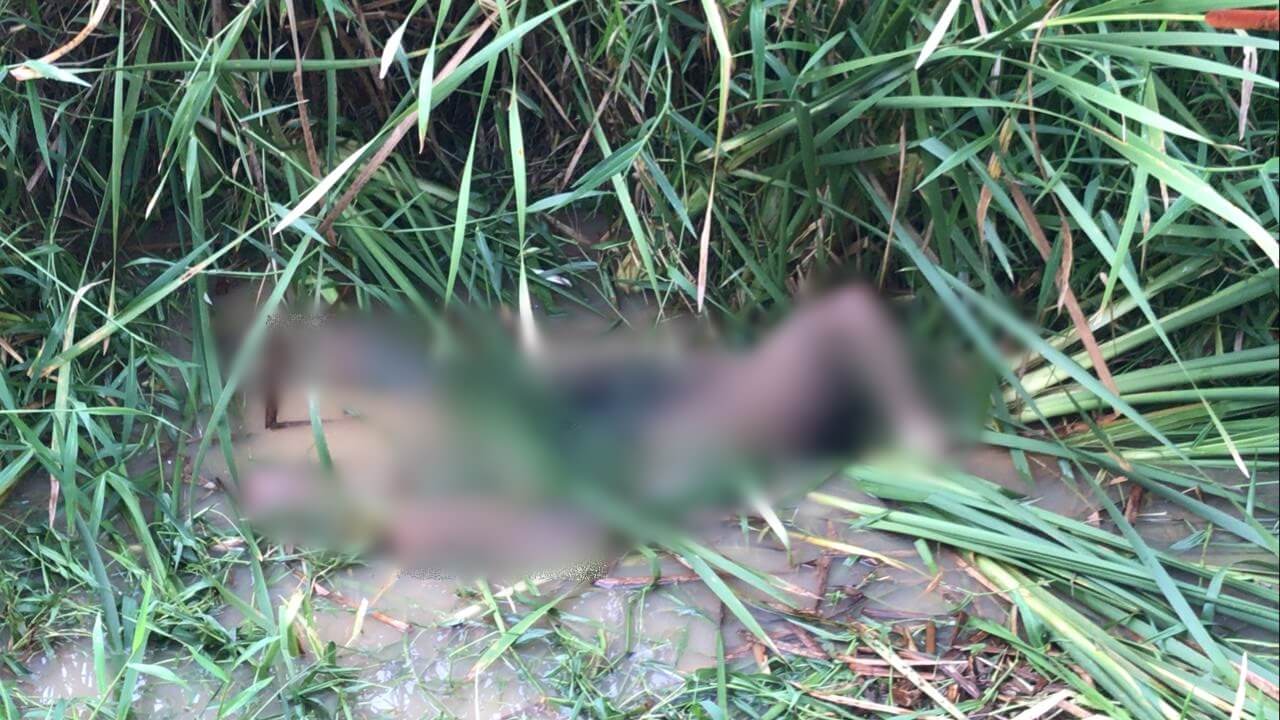 Guaratinga: Jovem é encontrado morto em um brejo