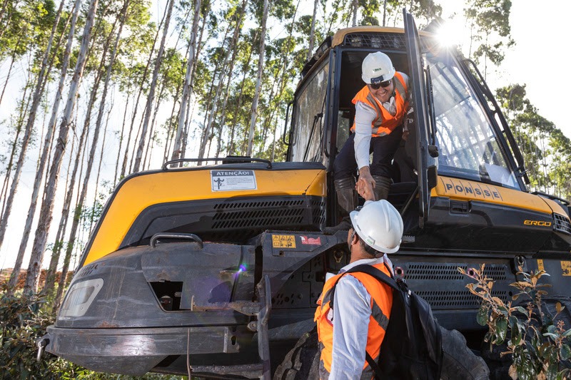 Veracel abre oportunidade para operadoras e operadores de colheitas