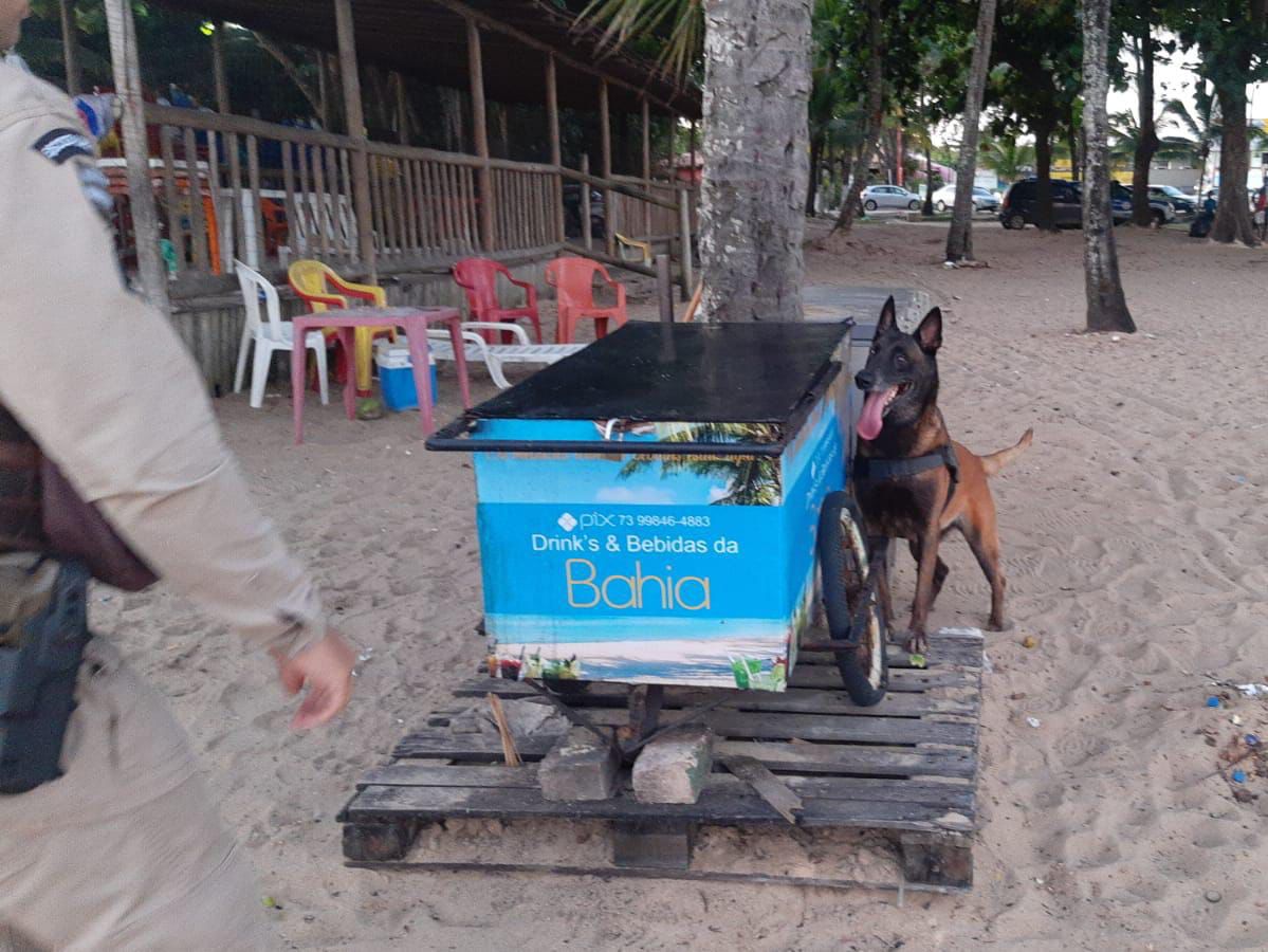 Cão do 8° BPM descobre drogas em carrinho de bebidas na praia em Porto Seguro