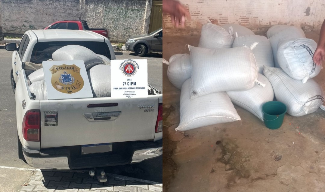 Polícia recupera em Eunápolis sacas de café roubadas em Mascote