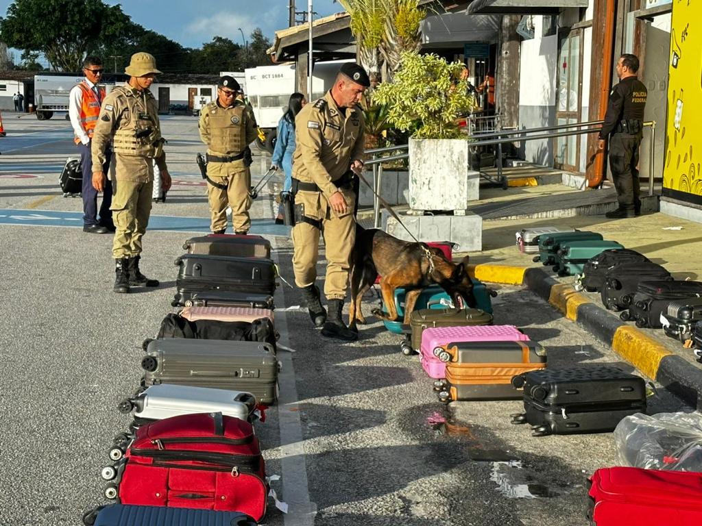 Cães farejadores da polícia encontram drogas em malas no aeroporto de Porto Seguro