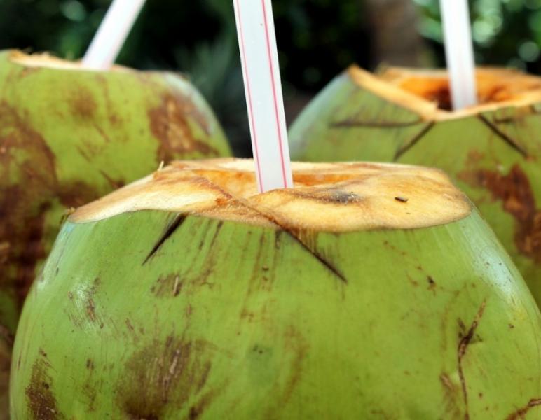Nutricionista explica os 6 benefícios da água de coco