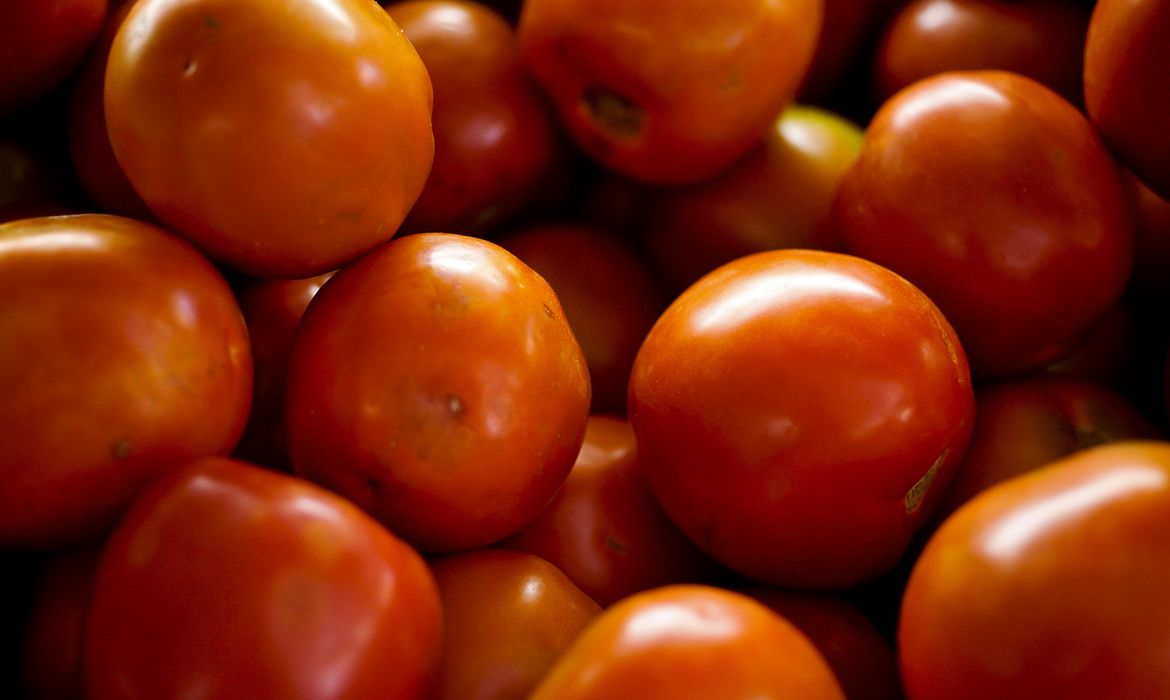 Conheça 6 benefícios do tomate para o seu corpo