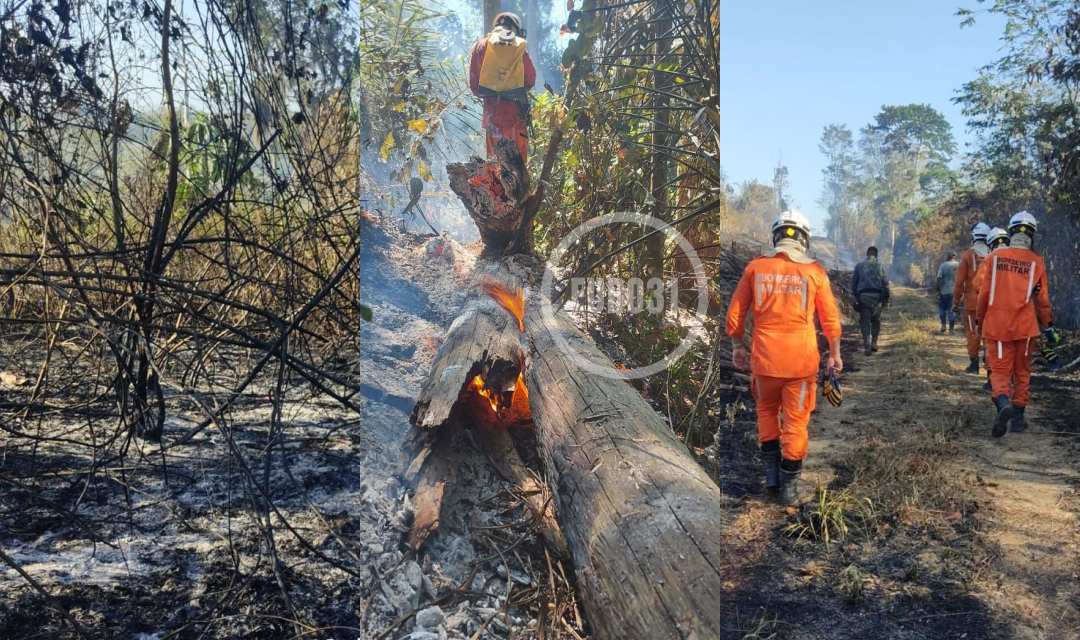 Guaratinga registra queimadas durante semana com altas temperaturas