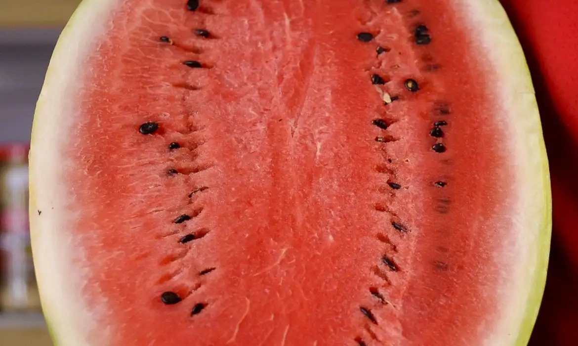 Nutricionista apresenta os 5 benefícios da melancia para seu corpo