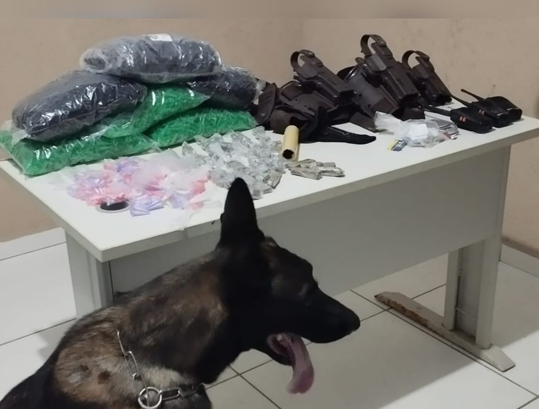 Cão Policial localiza esconderijo de drogas utilizado por quadrilha em Porto Seguro