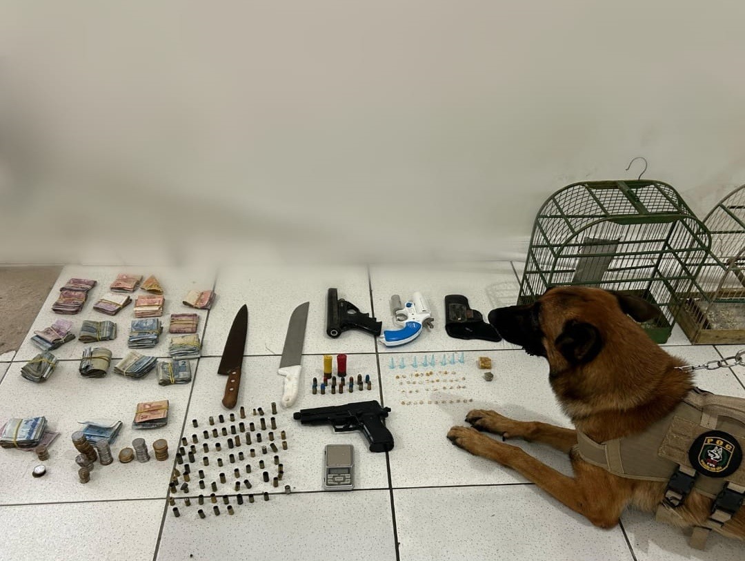 Cão Policial da Polícia Militar ajuda a encontrar materiais ilícitos em Porto Seguro