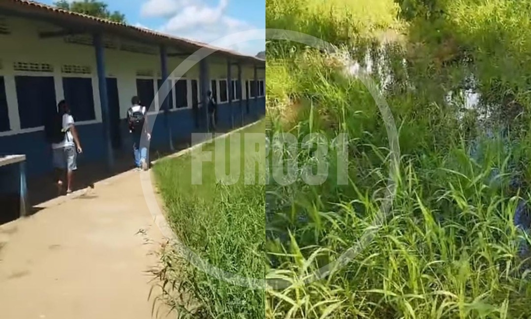 Vídeo mostra mato e água parada em escola de Guaratinga; Secretaria de Educação emite nota