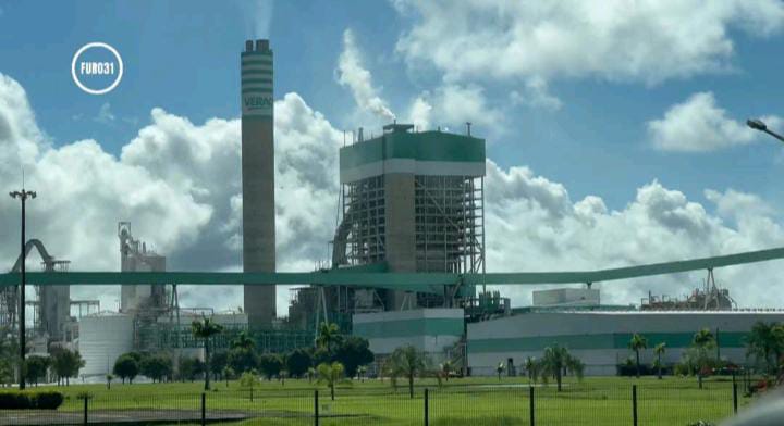 FURO31 visita fábrica da Veracel em Eunápolis e tem acesso ao relatório de sustentabilidade de 2023